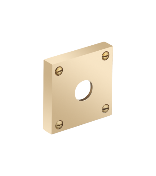 Thick square rose with exposed screws - spindle hole - R354TB