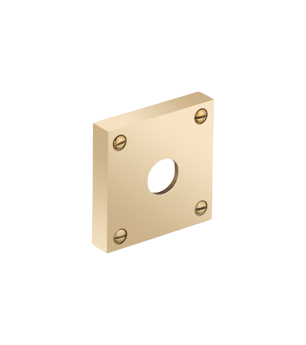 Thick square rose with exposed screws - spindle hole - R354TB