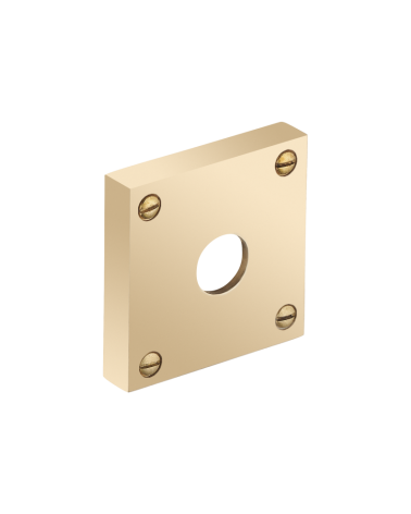 Thick square rose with exposed screws - spindle hole - R354TB