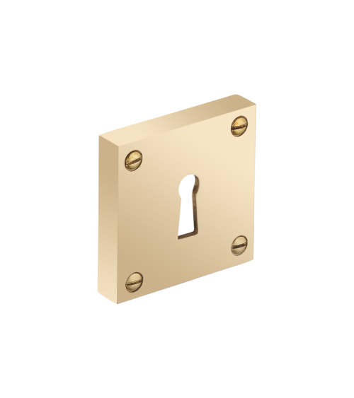Thick square rose with exposed screws - keyhole - R354CL