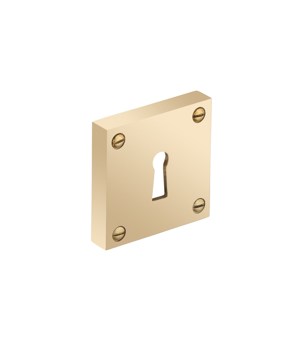 Thick square rose with exposed screws - keyhole - R354CL