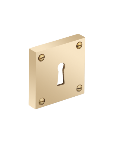 Thick square rose with exposed screws - keyhole - R354CL
