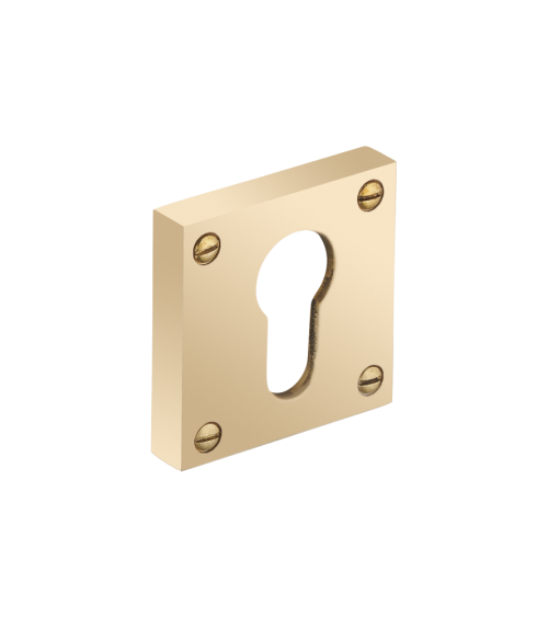 Thick square rose with exposed screws - cylinder (barrel) - R354CY