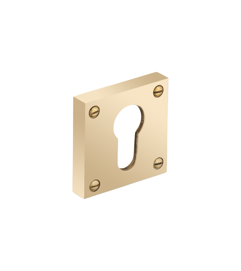 Thick square rose with exposed screws - cylinder (barrel) - R354CY