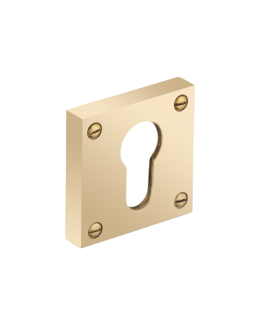 Thick square rose with exposed screws - cylinder (barrel) - R354CY
