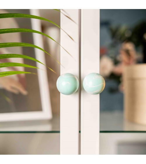 Furniture knob in Aqua Beech wood - design handle