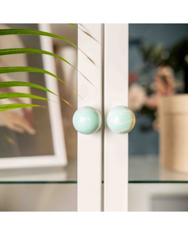 Furniture knob in Aqua Beech wood - design handle