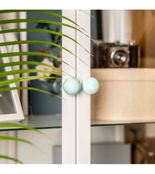 Furniture knob in Aqua Beech wood - design handle