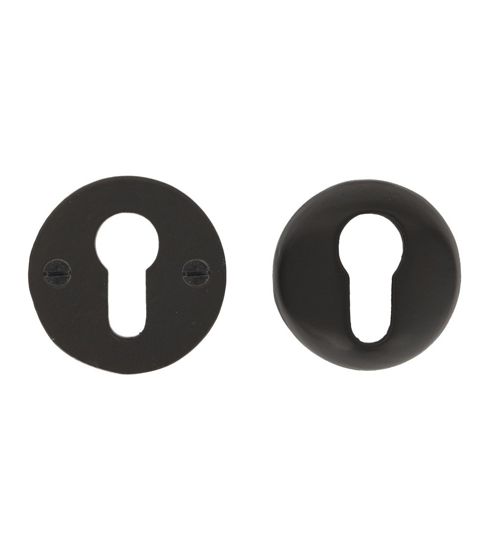CDF door rosette PZ-security key