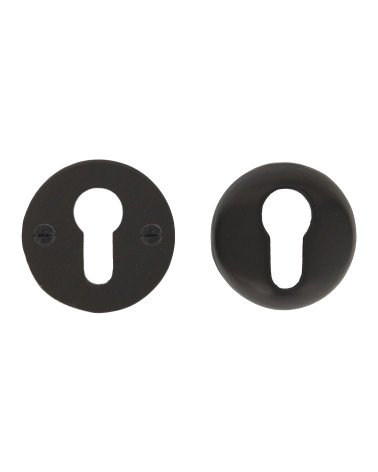 CDF door rosette PZ-security key