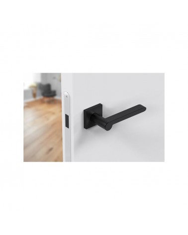 Zamak Pandora door handle designer handle angled top view mounted on a door