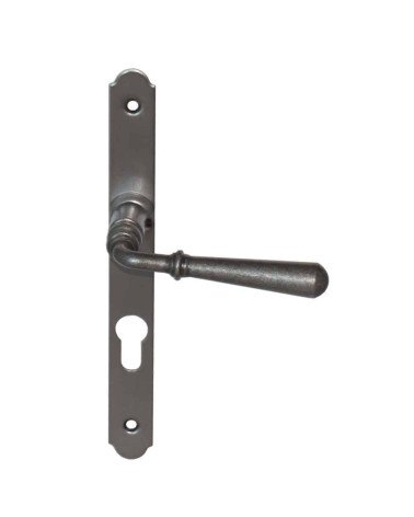 Door handles on raised narrow long plate - Beynac