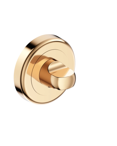 Polished brass door rosette with WC lock CO R OB design handle angled view