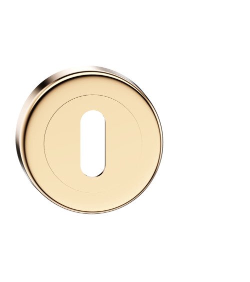 Keyhole door rosette L polished gold CO R OB designer handle