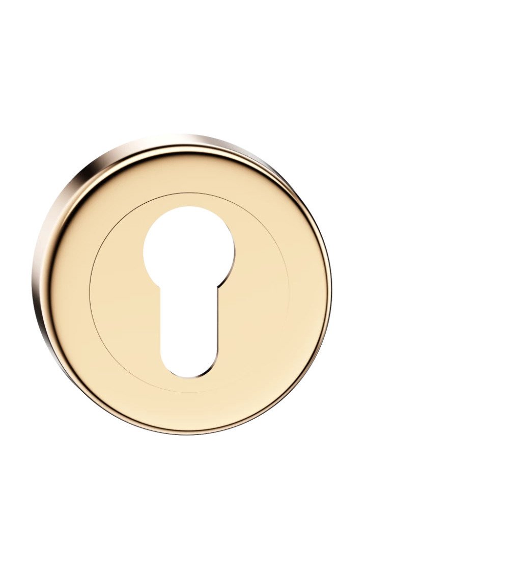 Keyhole door rosette i polished gold CO R OB designer handle