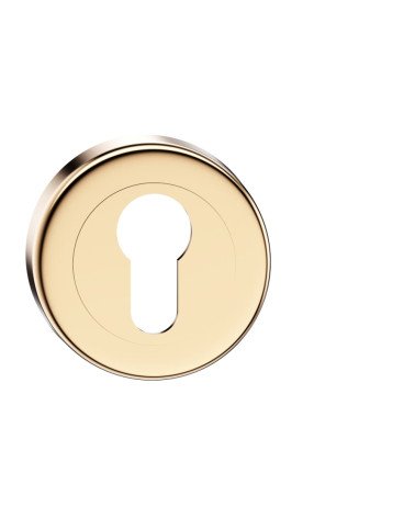 Keyhole door rosette i polished gold CO R OB designer handle