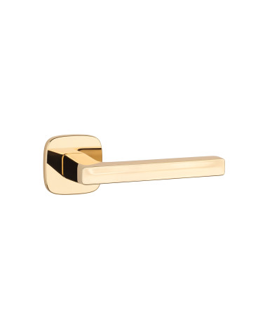 Polished gold door handle PEA design handle