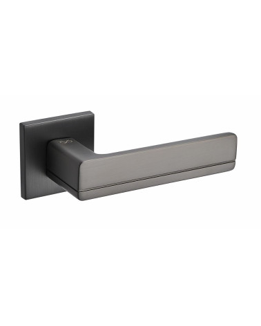Titanium door handles