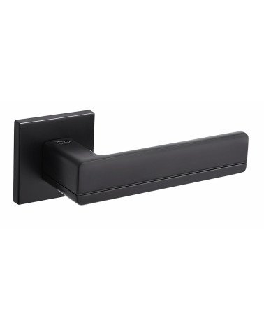Titanium door handles