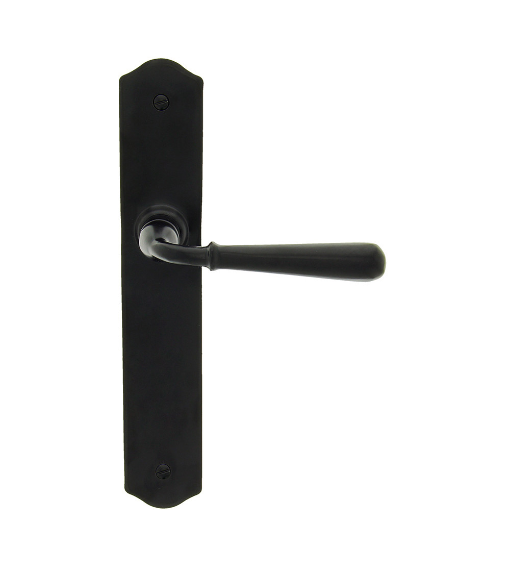Black handle on long plate latch