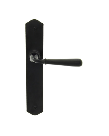 Black handle on long plate latch
