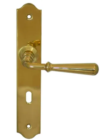 Brass door handles polished finish with riser - Beynac