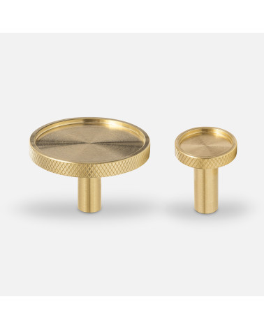 VERA brass furniture knob designer handle on a white background