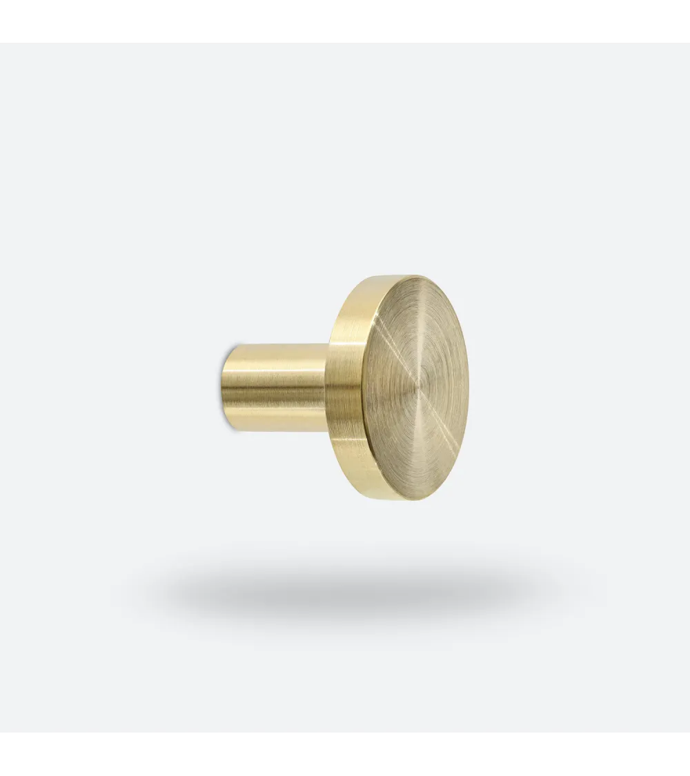 NENA brass wall hook