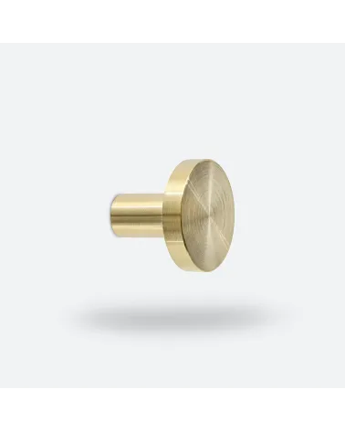 NENA brass wall hook