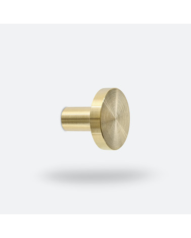 NENA brass wall hook