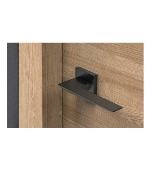 Black Blade door handle design handle