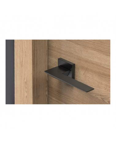 Black Blade door handle design handle top view mounted on a door