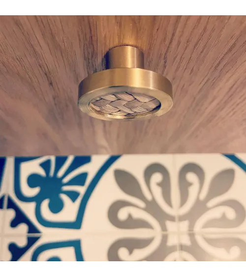 Brass and Marine Botanical Furniture Knob designer handle