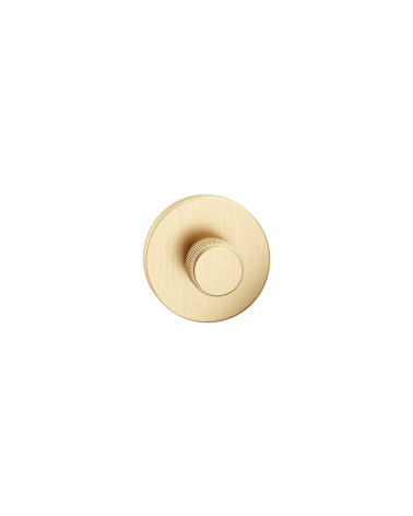 Textured matt gold Time designer rose front view
