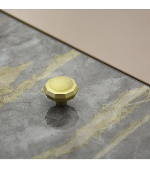 CAMPANA matt gold designer furniture knob handle
