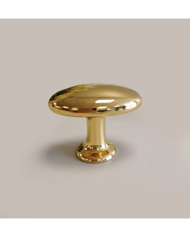 NAPOLI polished gold furniture knob designer handle front view on grey background