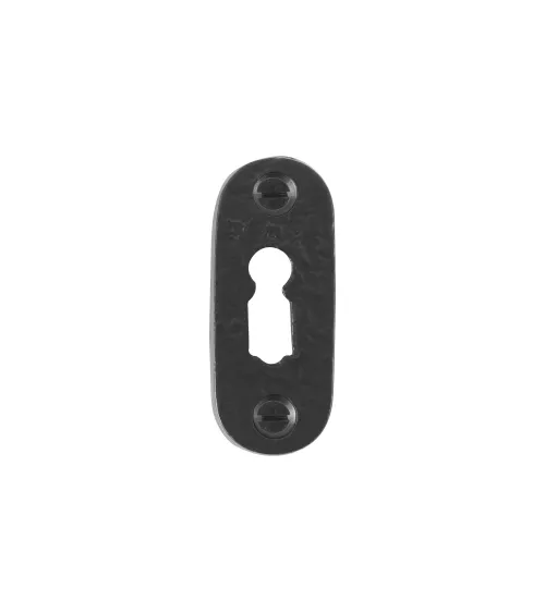 CDF door rose with key L-PBTC 1 - designer ironmongery