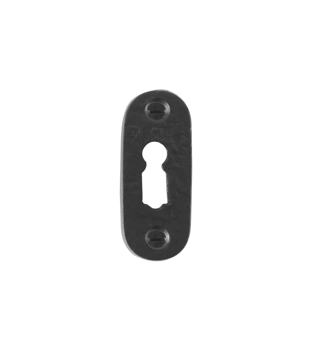 CDF door rose with key L-PBTC 1 - designer ironmongery