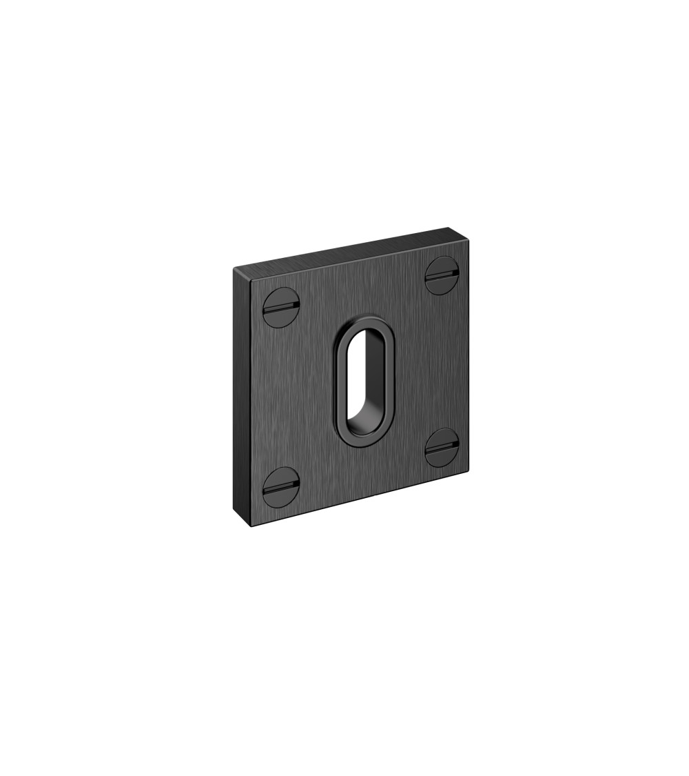 BAUHAUS door rose bathroom key