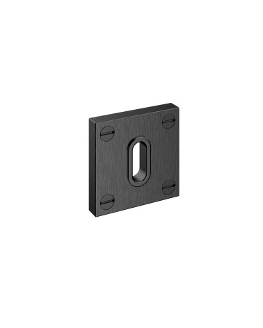BAUHAUS door rose bathroom key
