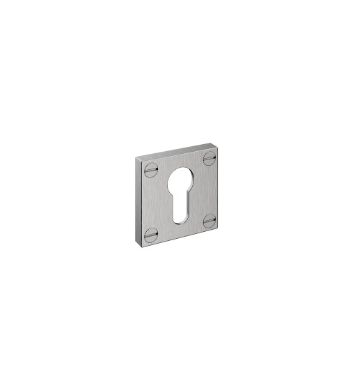 Bauhaus door rose cylinder key