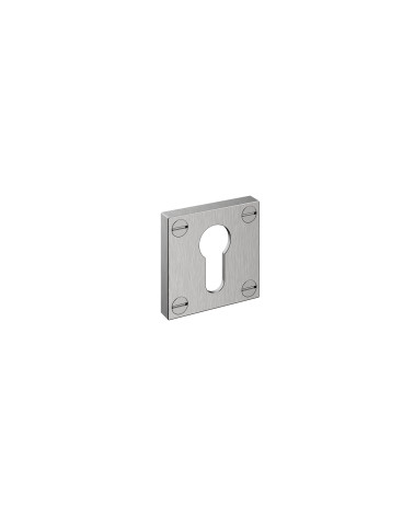 Bauhaus door rose cylinder key