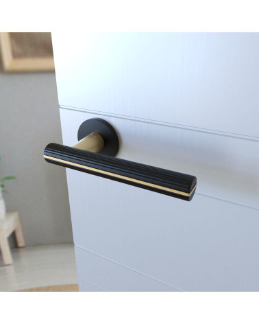 Capri black door handle