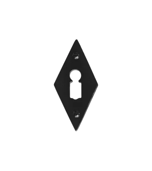 CDF door rose plate BB keyhole E1100 - design ironmongery