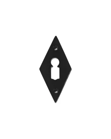 CDF door rose plate BB keyhole E1100 - design ironmongery