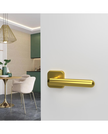 NOX polished gold door handle design handle fitted on an open door