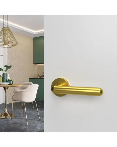 Polished gold NOX door handle design hardware mounted on an open door