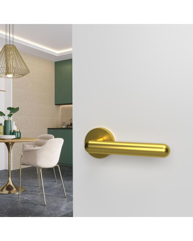 Polished gold NOX door handle design hardware mounted on an open door
