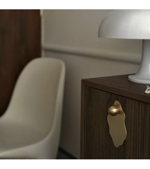 Oyster brushed brass furniture handle