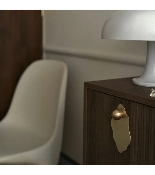 Oyster brushed brass furniture handle